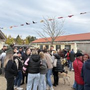 Allianz-Südspessart-Fest 2025